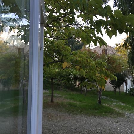 Camping Les Orangers San-Martino-di-Lota Oda fotoğraf