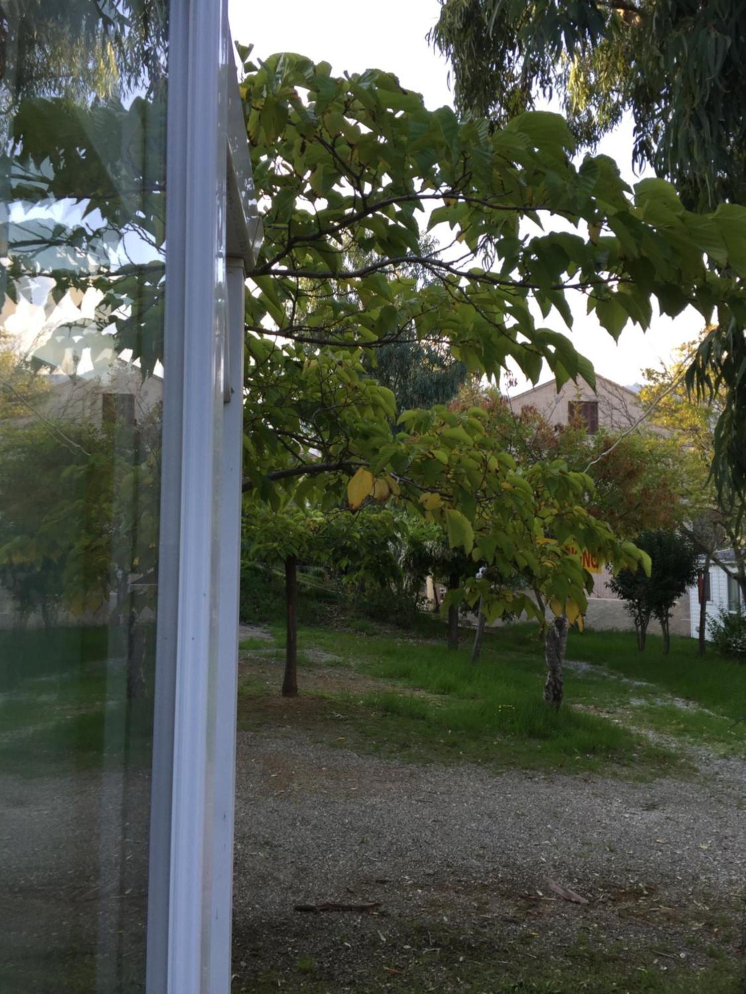 Camping Les Orangers San-Martino-di-Lota Oda fotoğraf