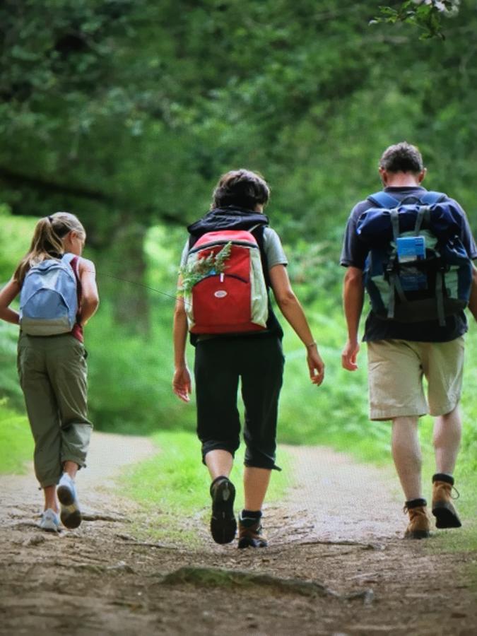 Camping Les Orangers San-Martino-di-Lota Dış mekan fotoğraf