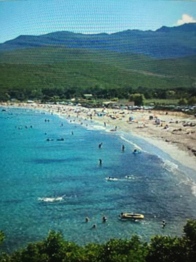 Camping Les Orangers San-Martino-di-Lota Dış mekan fotoğraf