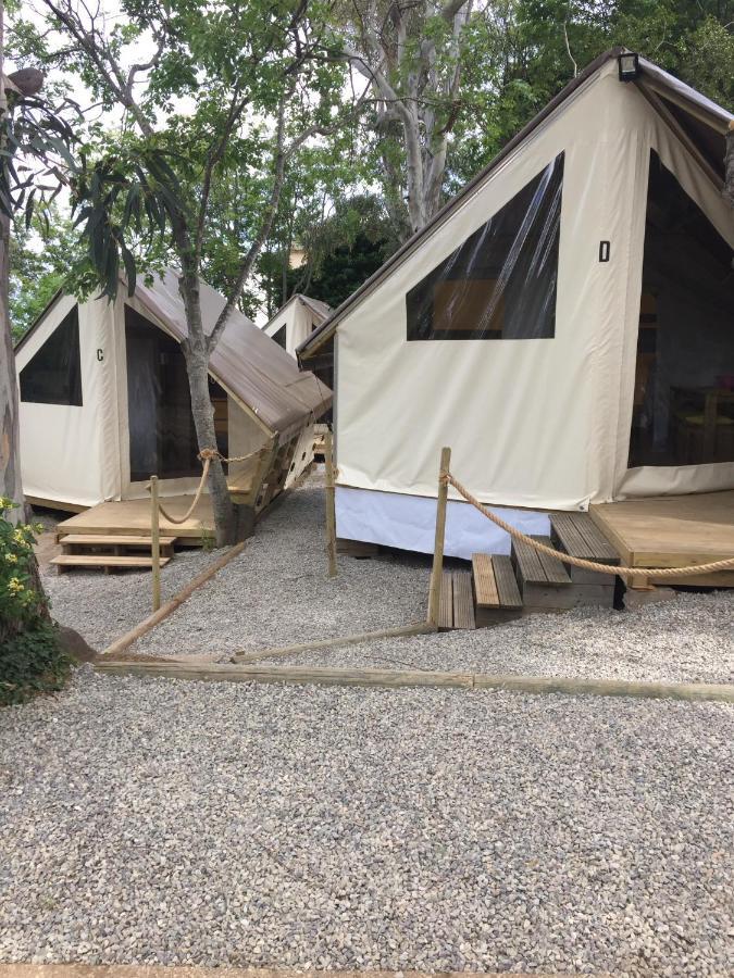 Camping Les Orangers San-Martino-di-Lota Dış mekan fotoğraf